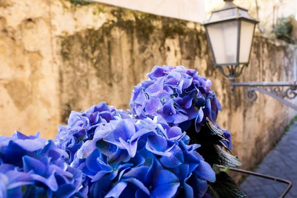 Peonia Blu Apartment Salerno Zewnętrze zdjęcie